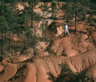 Calhoun Critical Zone Observatory