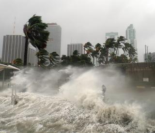 Hurricane Damage