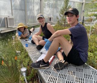 Postdoctoral Researcher Caitlin Petro, Ph.D. student Katherine Duchesneau, and undergraduate student Sekou Noble-Kuchera in a SPRUCE chamber.