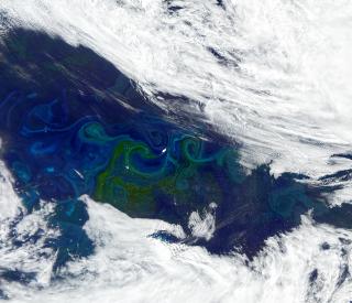 A satellite image of blooming phytoplankton, visible as green-tinted swirls, in the South Atlantic. Credit: NASA Credit: NASA (OCI sensor aboard PACE on January 5, 2025)