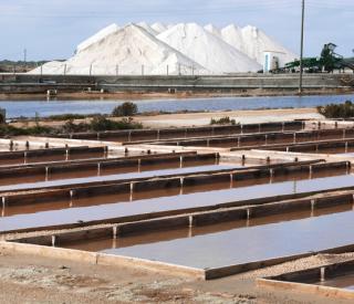 saltern Ponds_1.jpeg