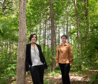 Researchers studying data from fossil pollen - 2