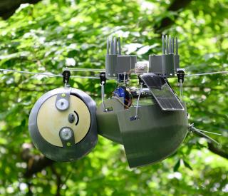 SlothBot operating in Atlanta Botanical Garden