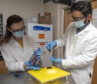 Robot blob and worm blob