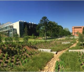 EcoCommons landscape