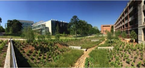 EcoCommons landscape